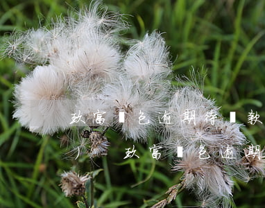 玖富錢包逾期待還款在保障范圍內(nèi)-玖富錢包逾期待還款在保障范圍內(nèi)怎么辦