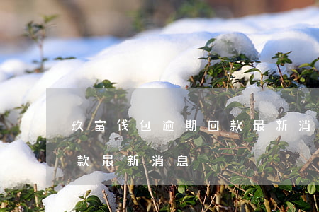 玖富钱包逾期回款最新消息(关于玖富钱包回款最新消息)