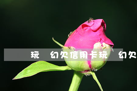 玩夢幻欠信用卡(玩夢幻欠了好多錢)