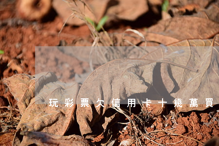 玩彩票欠信用卡十幾萬(買彩票欠100萬)