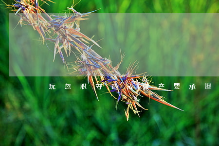 玩忽职守造成破产要承担罪责吗