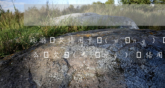 玩游戲欠信用卡網(wǎng)貸12萬怎么辦(欠網(wǎng)貸信用卡14萬想死)
