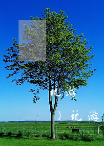 玩游戲網(wǎng)貸欠了幾萬(wàn)(玩游戲欠了10幾萬(wàn))