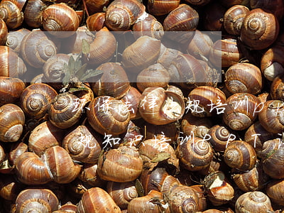 环保法律法规培训ppt(医疗人员法律法规知识培训PPT课件)