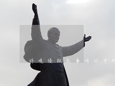 环境侵权民事诉讼中的举证责任倒置