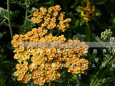 环境污染责任保险责任范围是什么（环境污染责任保险有什么好处）