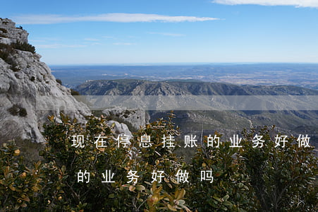 现在停息挂账的业务好做吗-现在停息挂账的业务好做吗?