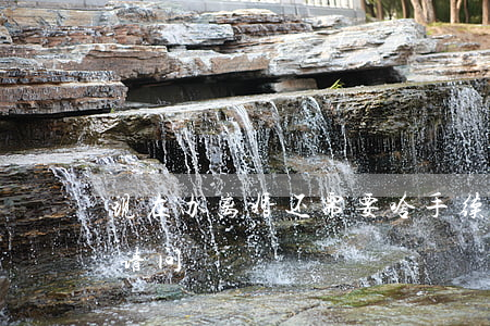 现在办离婚还需要啥手续(离婚要办什么手续?请问?)