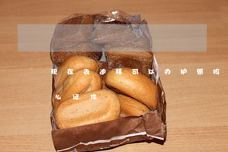 现在去迪拜可以办护照吗(办迪拜护照需要什么证件)