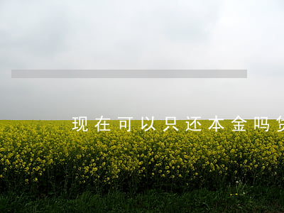 现在可以只还本金吗 贷款可不可以只还本金