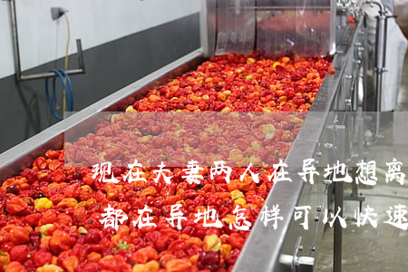 现在夫妻两人在异地想离婚怎么办(夫妻双方都在异地怎样可以快速离婚)