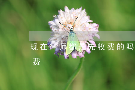 现在律师都是先收费的吗(为什么律师要先收费)