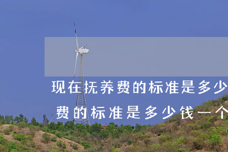 现在抚养费的标准是多少钱一个月(现在抚养费的标准是多少钱一个月)