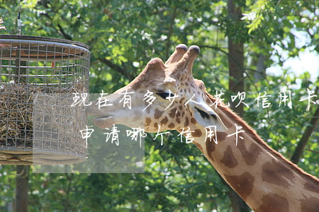 现在有多少人花呗信用卡逾期(花呗逾期可以申请哪个信用卡)