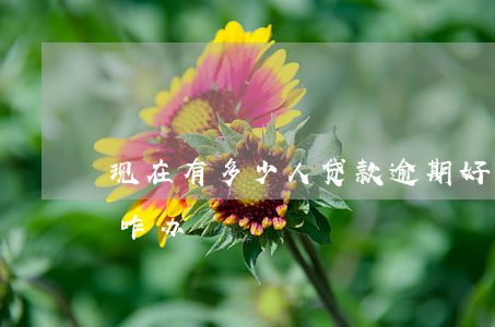 现在有多少人贷款逾期(好几个贷款都逾期了咋办)