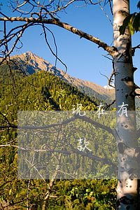 现在有逾期哪里能贷款(逾期了还能在哪里贷款)