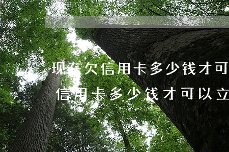 现在欠信用卡多少钱才可以立案啊-现在欠信用卡多少钱才可以立案啊知乎