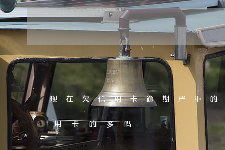 现在欠信用卡逾期严重的多不多-现在欠信用卡的多吗