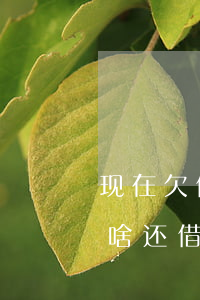 现在欠借呗的钱还用还吗(借呗的钱还清了为啥还借不了)