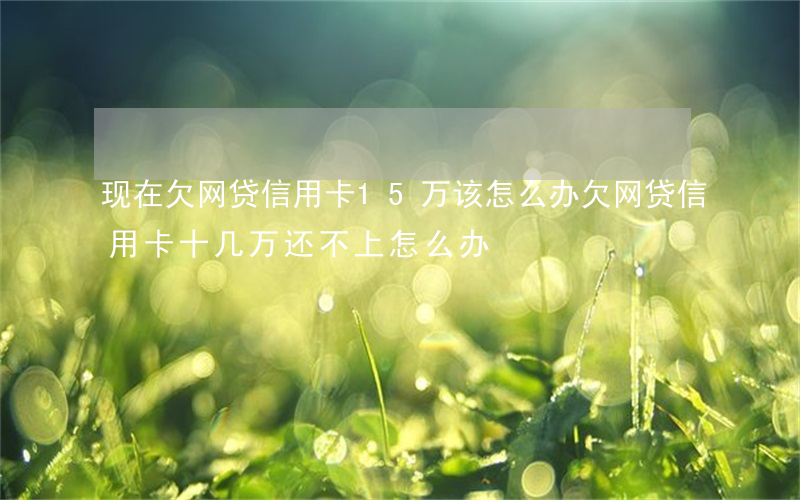 现在欠网贷信用卡15万该怎么办(欠网贷信用卡十几万还不上怎么办)