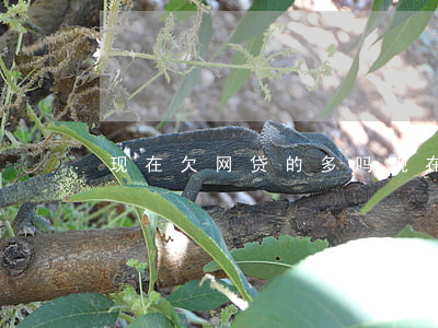 现在欠网贷的多吗(现在欠网贷的多吗)