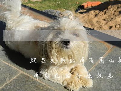 现在欠钱起诉有用吗 欠钱起诉有用吗?如何起诉自己的合法权益?