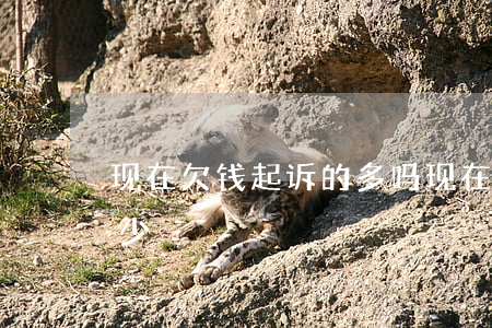 现在欠钱起诉的多吗(现在欠钱起诉费用是多少)
