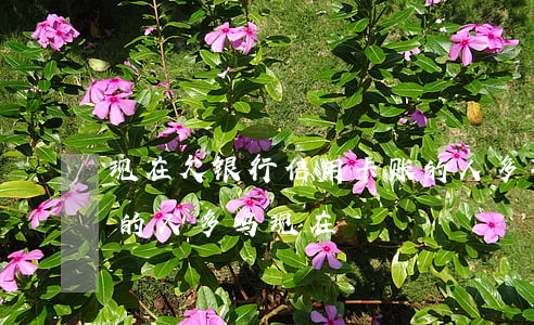 现在欠银行信用卡账的人多不多-欠信用卡的人多吗现在