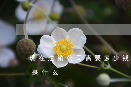 现在注销公司需要多少钱（注销公司步骤流程是什么）