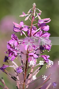 现在的信用卡利息多少-现在的信用卡利息多少