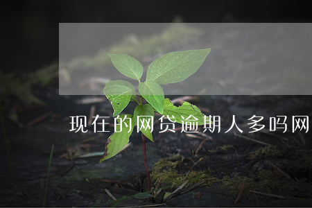 现在的网贷逾期人多吗(网贷逾期最长的人)