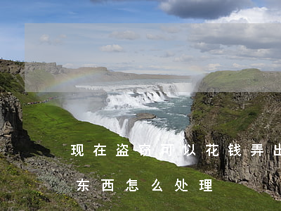 现在盗窃可以花钱弄出来吗(用盗窃的钱买的东西怎么处理)