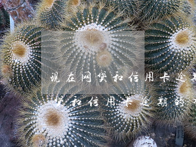 现在网贷和信用卡逾期的有多少人-现在网贷和信用卡逾期的有多少人被起诉