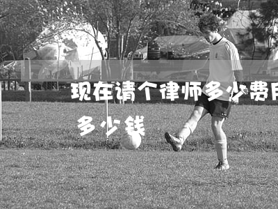 现在请个律师多少费用(现在请个律师一般要多少钱)