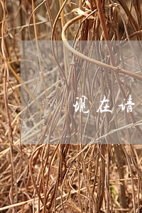 现在请个律师要多少钱(一般请律师怎么收费)