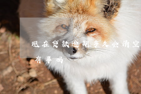 现在贷款逾期多久会清空(贷款逾期几个小时有事吗)
