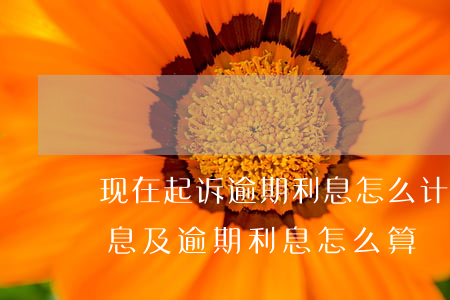 现在起诉逾期利息怎么计算(法院起诉欠款利息及逾期利息怎么算?)