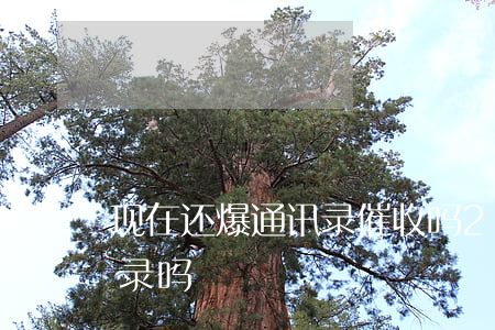 现在还爆通讯录催收吗 2021还能爆通讯录吗