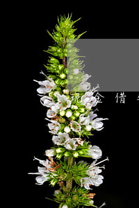 现金借钱如何打官司(现金借钱如何打官司呢)