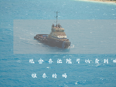 现金存法院可以查到吗(现金存款能够查到是谁存的吗)