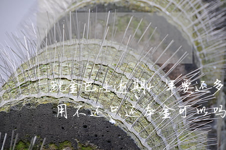 现金巴士逾期4年要还多少(现金巴士逾期费用不还只还本金可以吗?)