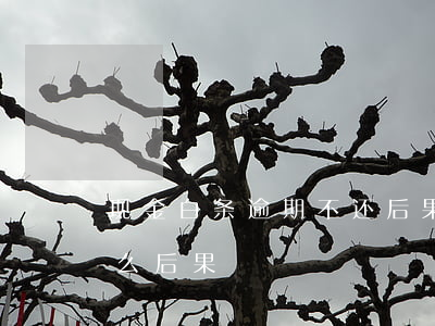 现金白条逾期不还后果严重 白条欠款逾期什么后果