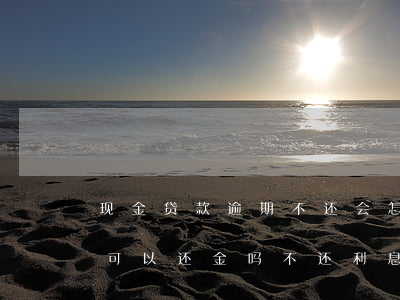 现金贷款逾期不还会怎样(银行贷款逾期未还,可以还金吗不还利息吗)