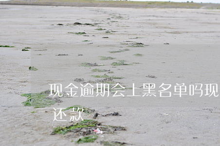 现金逾期会上黑名单吗(现金借款逾期了怎么还款)