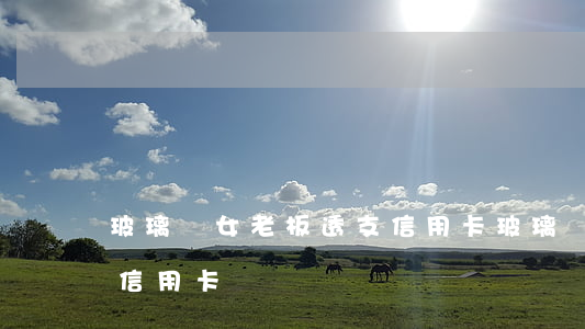 玻璃廠女老板透支信用卡(玻璃廠女老板透支信用卡)