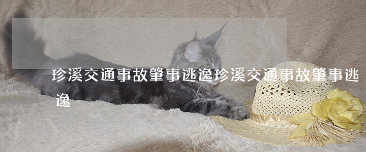 珍溪交通事故肇事逃逸(珍溪交通事故肇事逃逸)
