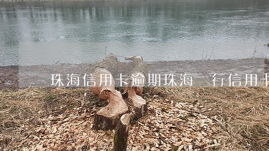 珠海信用卡逾期(珠海銀行信用卡)