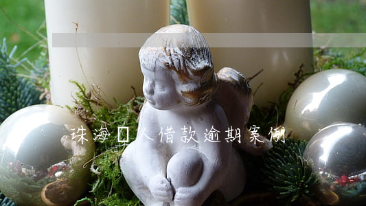 珠海個人借款逾期案例