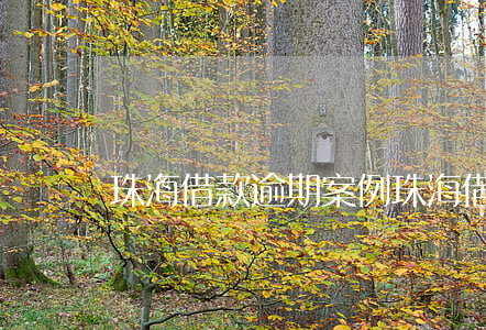 珠海借款逾期案例(珠海借款逾期案例)