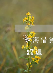 珠海借貸逾期協(xié)商還款(貸款逾期歸還)